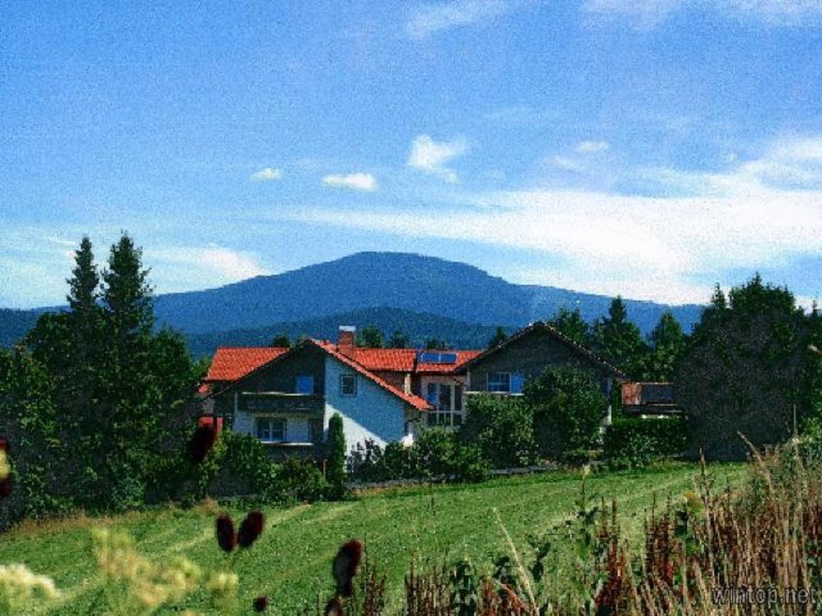 Pension Landhaus Hochfeld Цвизел Екстериор снимка